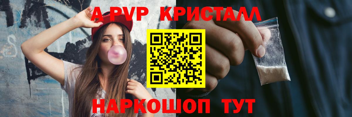 A PVP СК Элиста