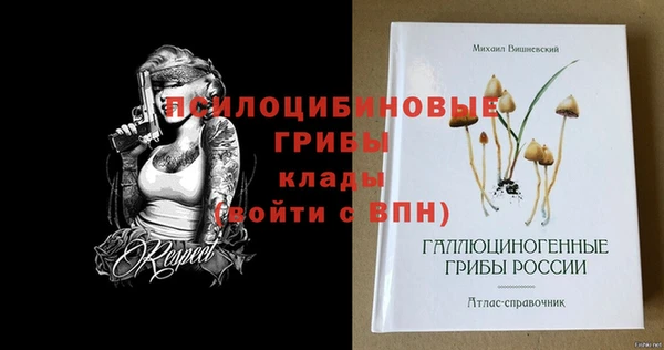 2c-b Алексеевка