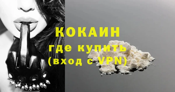 мдпв Осташков