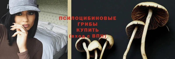 ECSTASY Алексин