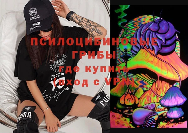 стаф Алзамай